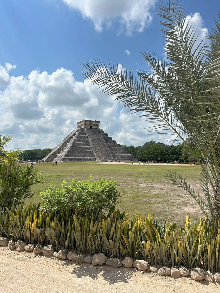 Cover media image