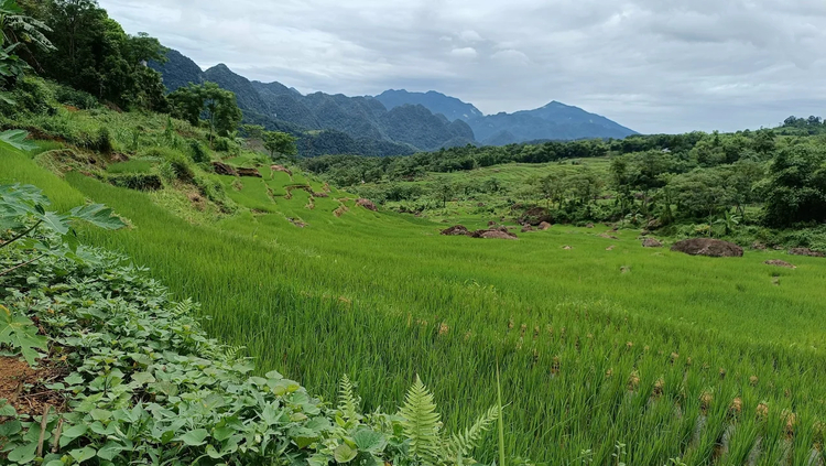 Cover media image