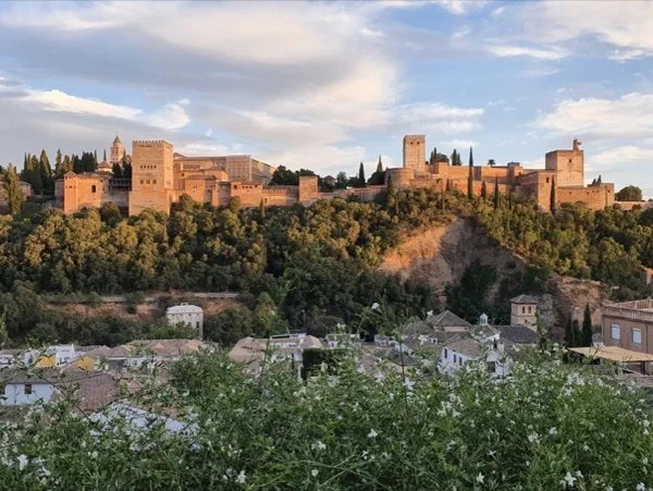 The secrets of the Alhambra by a local expert: Live Indoor Virtual Tour.