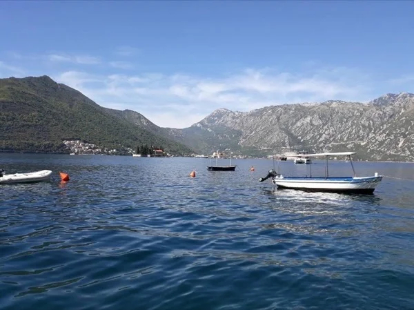 Highlights of Boka Bay, Half Day Tour