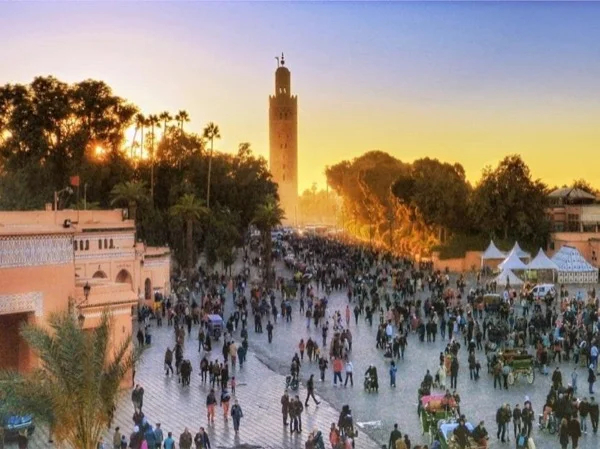 Marrakesh Express in a Full Day Tour with camel riding