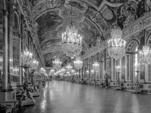 One day in Versailles with a Doctor in Art History - Private tour