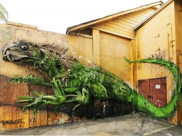 Half-Day San Nicolas Private Tour