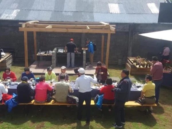 Full day Puerto Montt & Puerto Varas - Local experience