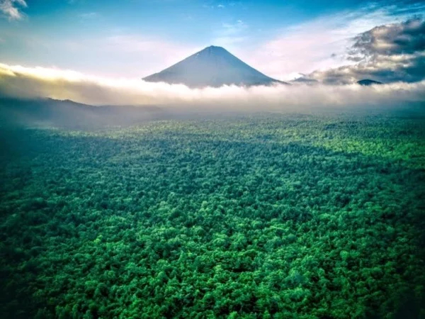 Cover media image
