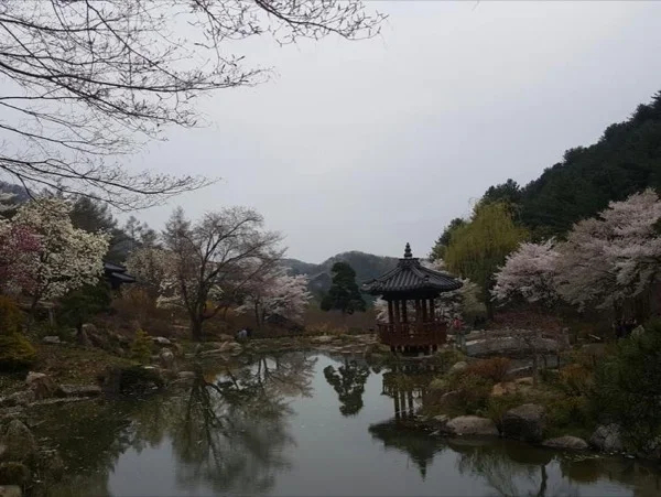 Morning calm garden & Nami Island Gapyeong tour