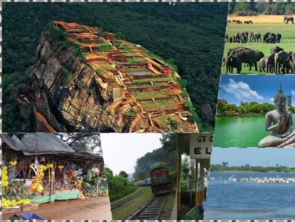Beauty of Ceylon in 9 Days - Private tour