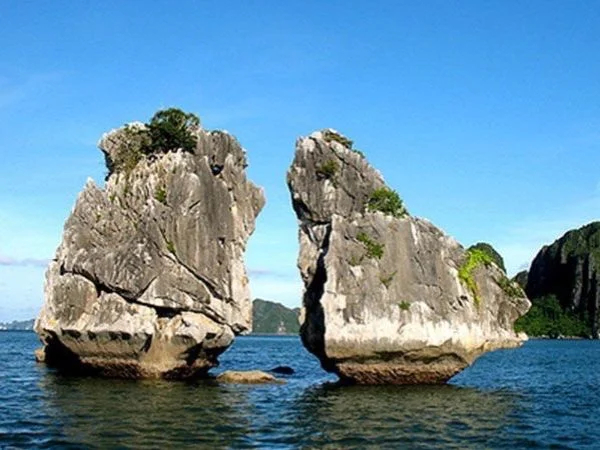 Halong Bay 1 Day private tour