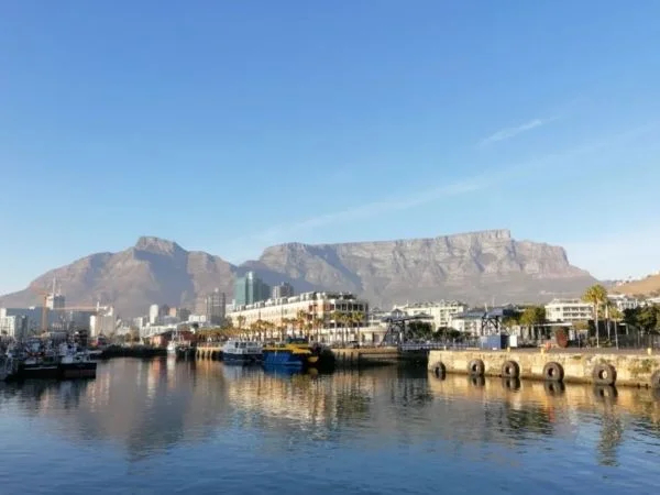 Cover media image