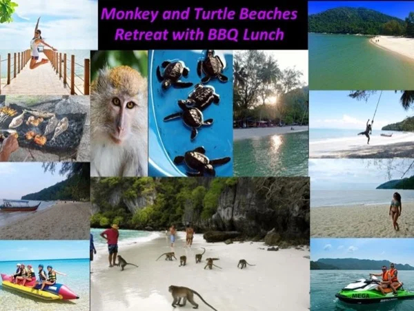 Monkey and Turtle Beach retreats