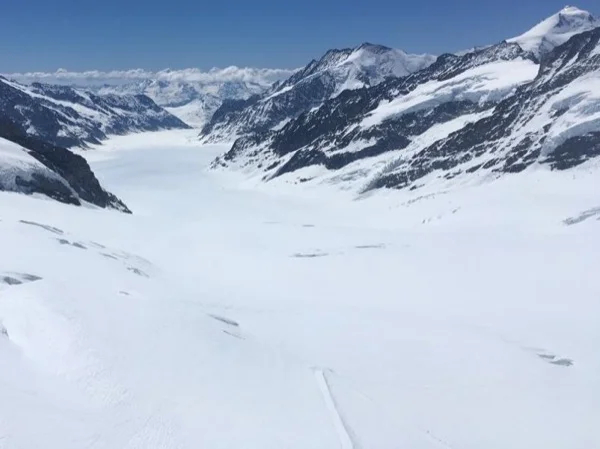 Day excursion from Interlaken to Wengen, Kleine Scheidegg and Jungfraujoch.