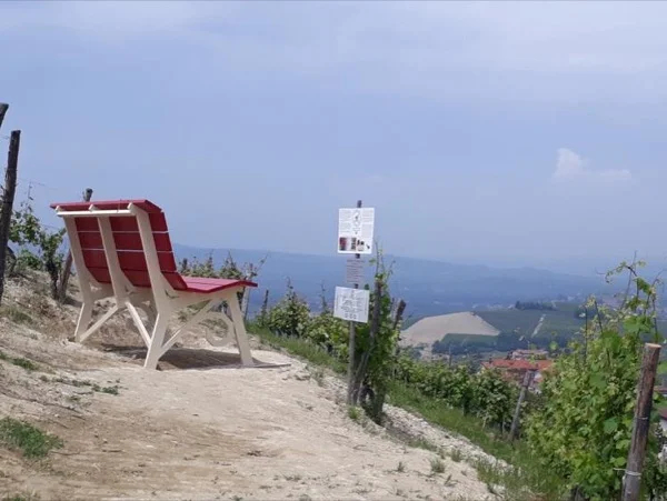 BBB Tour - Barolo Benches & Bunches!
