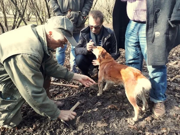 Truffle experience in the capital of the Langhe!