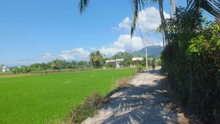 Cover media image