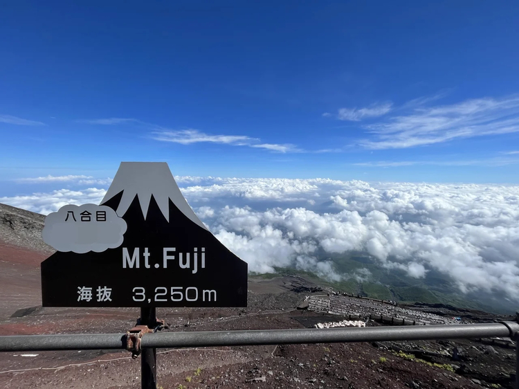 Cover media image