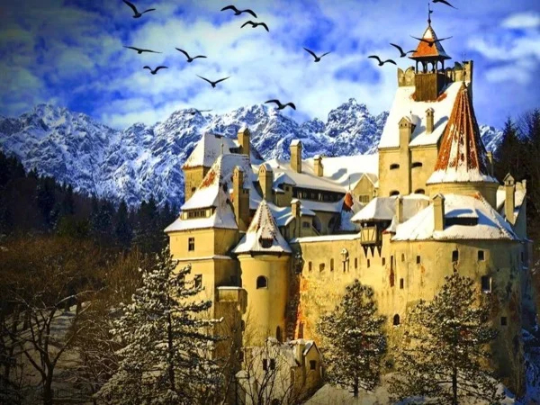 Cover media image