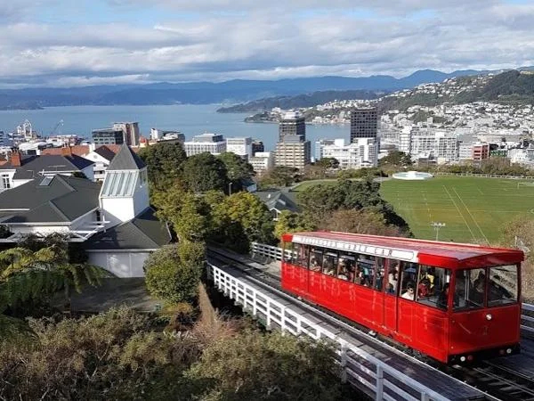 Wellington City and Coast Full Day Tour