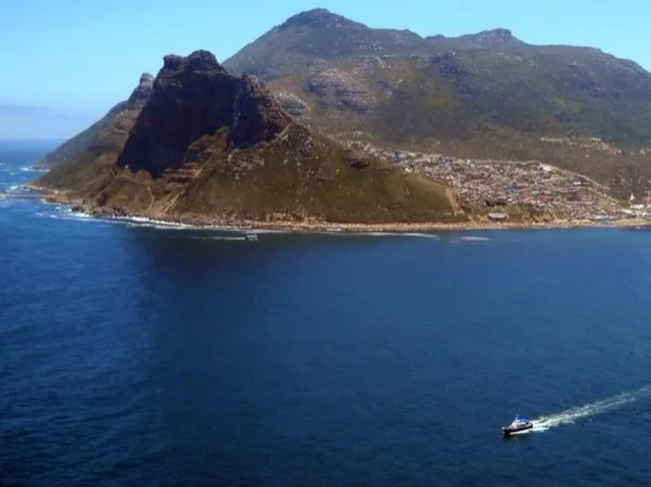 Private Tour - Majestic Cape Point, Penguin Viewing and a Wine Tasting