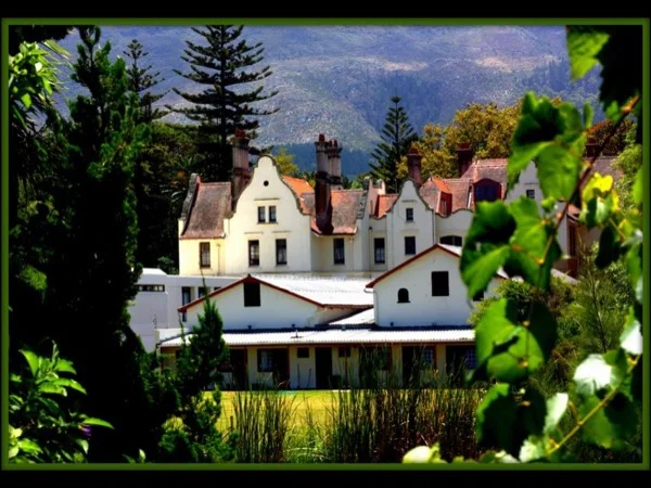 Steeped in history, all wrapped up in spectacular scenery - The Magnificent Constantia Valley