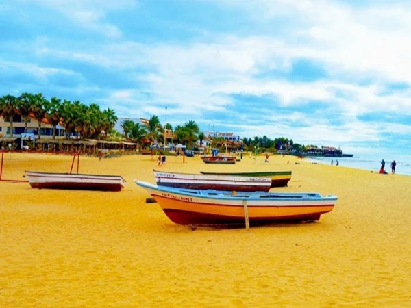 Sal Island Tour: 6-Hour Private Island Experience