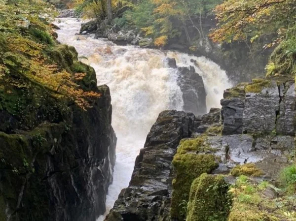 Lower Highlands Whisky Tour