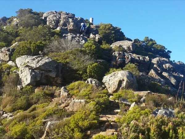 Cover media image