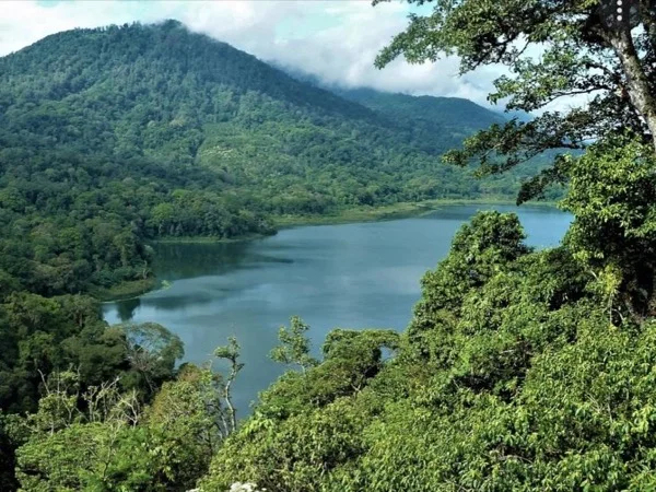 Bali Jungle Trekking