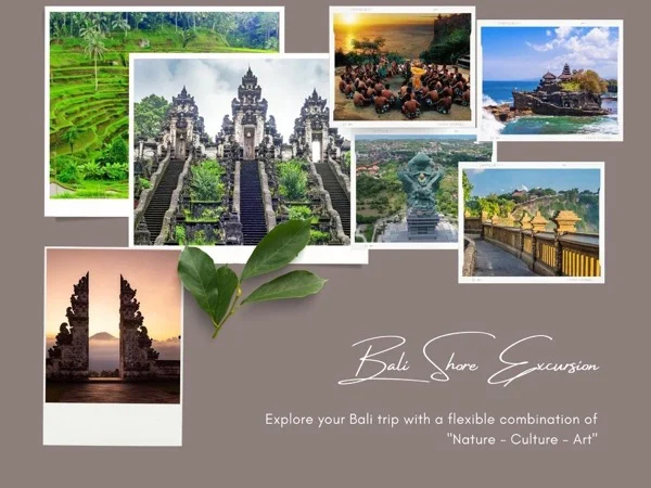 Bali Shore Excursion - Private Tour