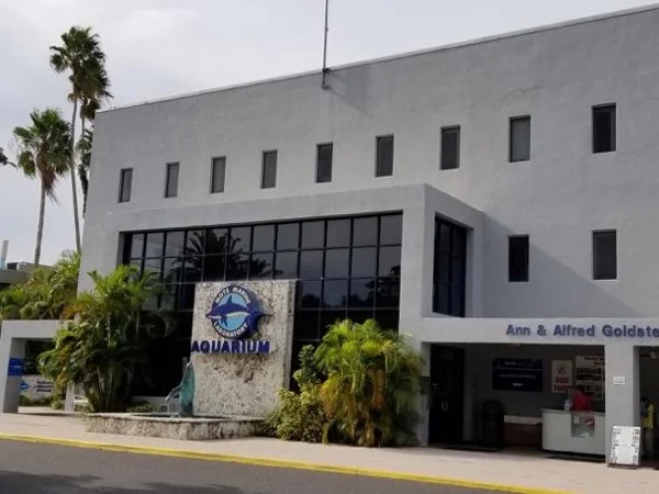 Selby Botanical Gardens and Mote Marine Aquarium Guided tour