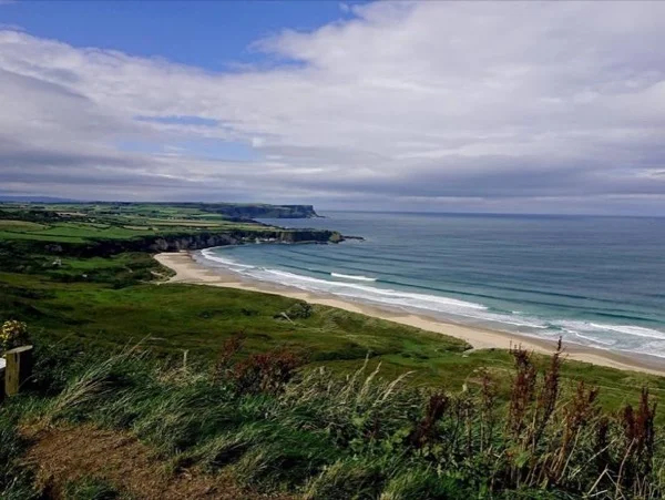 Luxury VIP Private Giant's Causeway and Antrim Coast Tour