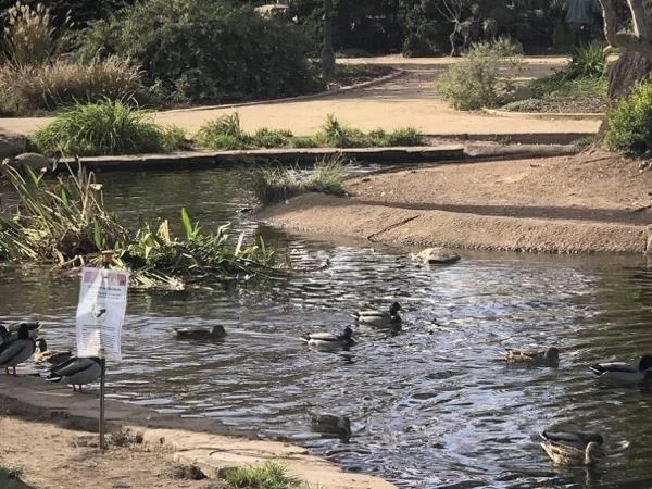 Gardens and Parks of Santa Barbara