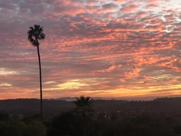 Private Santa Barbara Highlights Tour