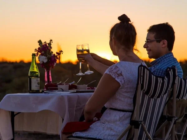 Sonoran Desert After Dark Adventure Tour From Phoenix