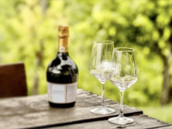 Prosecco Hills Private tour & Wine tasting