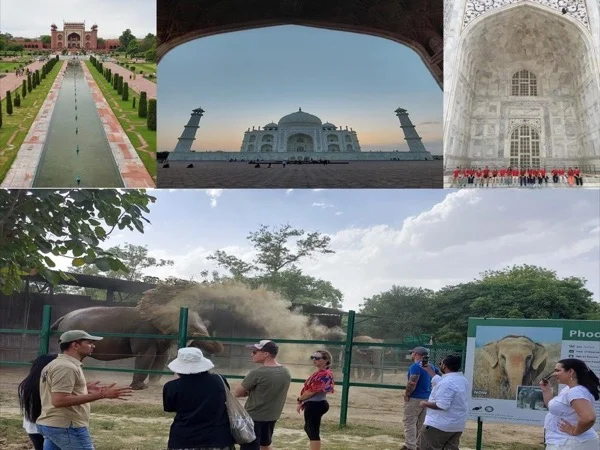 Taj Mahal & Wildlife SOS, Elephant Conservation center - Tour from Delhi