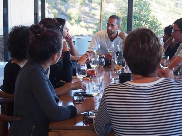 Wine Tour with a winemaker - Half-Day Tour