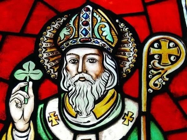 Luxury Private Strangford Lough Ards Peninsula Saint Patrick and Pagan Tour from Belfast by Car Ferry