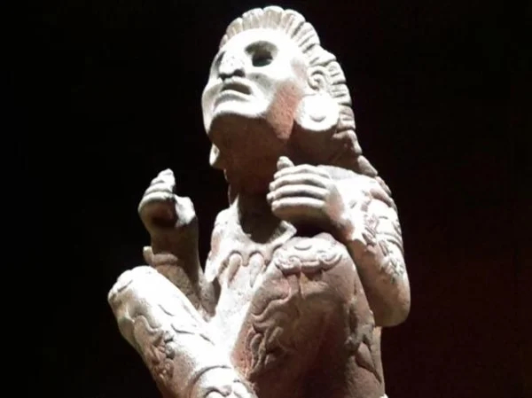 Cover media image