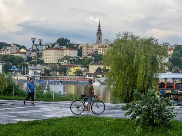 Cover media image