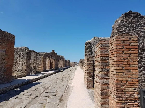 Pompeii with Herculaneum full day tour