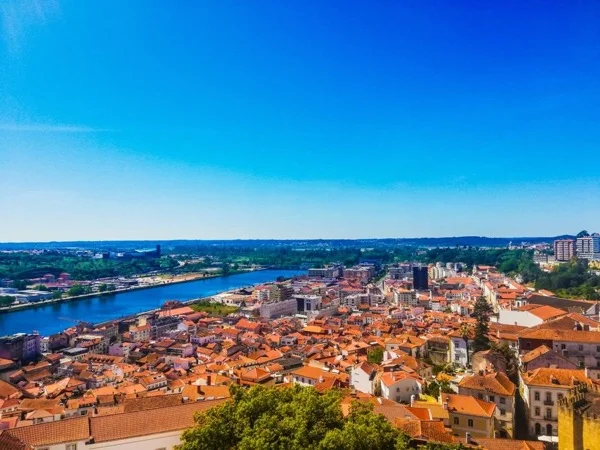 Transfer From Lisbon to the Douro Valley or Transfer from the Douro Valley to Lisbon
