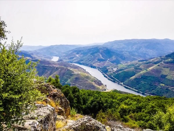 Douro Valley Tour during 2 Days