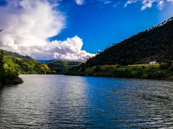 Top Highlights of Douro Valley From Aveiro Full Day Private Tour