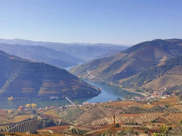 Best Douro Valley Tour With Private Boat Ride Included