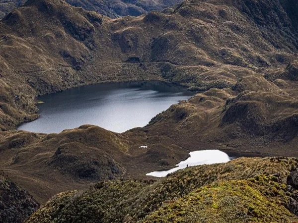 Quijos Valley Andean Eastern Slopes