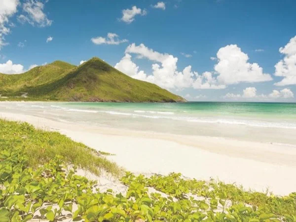 Luxury Beach Excursion Private Tour