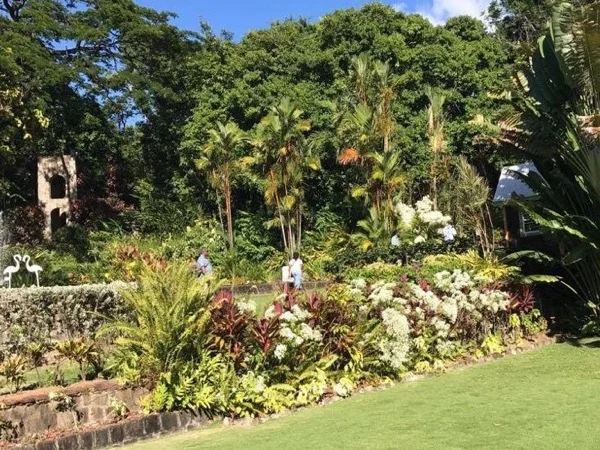 Plantation and Beach Extravaganza Private Tour