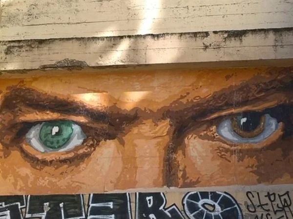 Street Art on Croix-Rousse Hill Tour