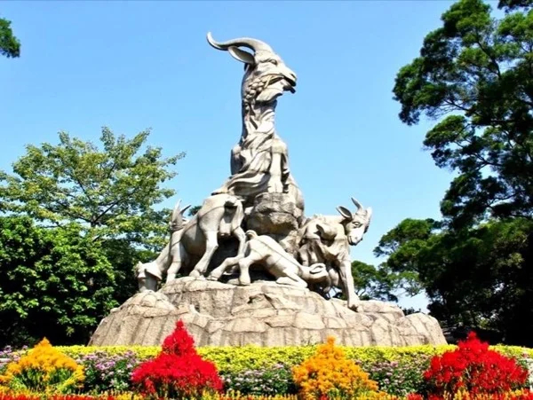 Cover media image