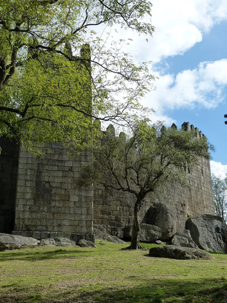 Cover media image